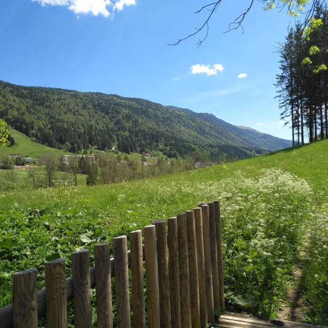 Randonnée au Fil de la Valserine, une courte balade