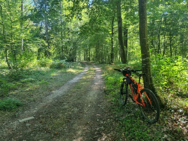 Mountainbike Espace Revermont