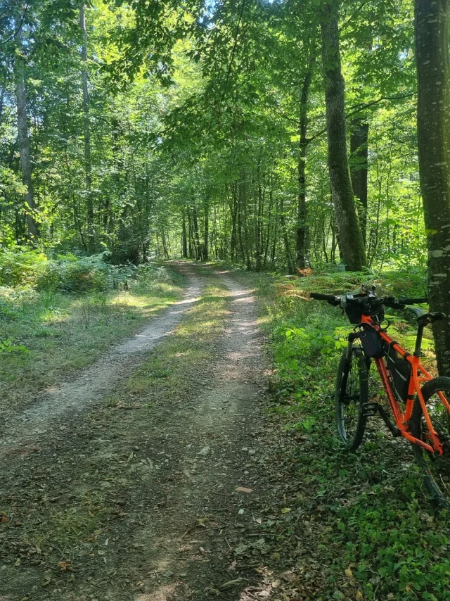 VTT Espace Revermont