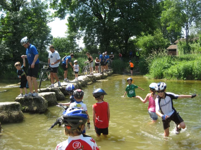 Mountainbike Espace Revermont - Chavannes, Simandre