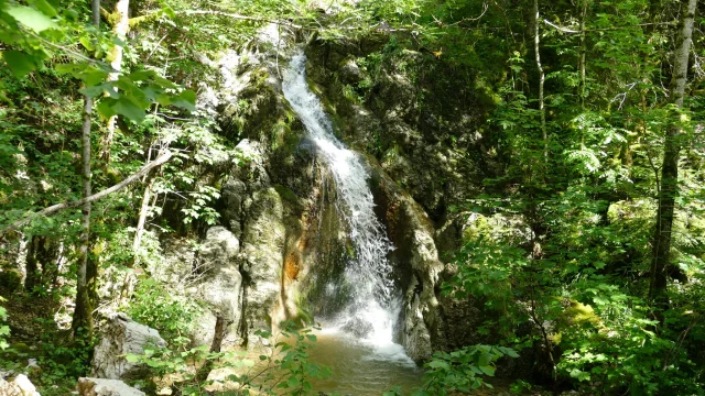 Cascade de Brénod