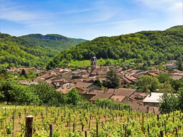 Vignes De Vaux En Bugey