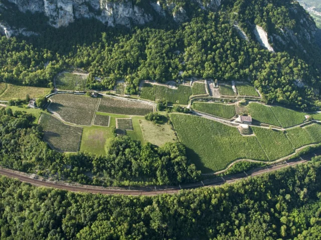 Terroir du Manicle, Bugey wine