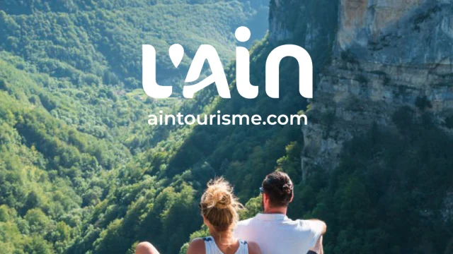 L'AIN brand book