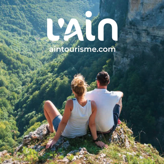 L'AIN brand book