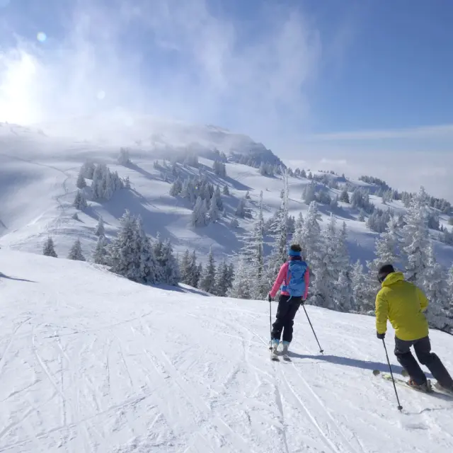 Ski Alpin à Monts Jura