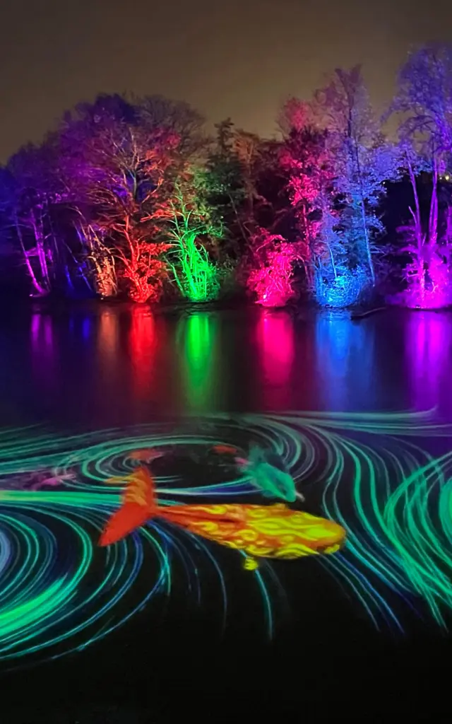 Événement Nuits du Parc au Parc des Oiseaux à Villars-les-Dombes