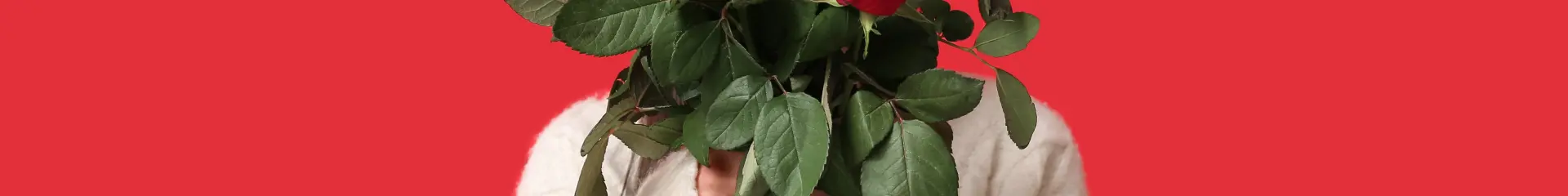 Saint-Valentin, femme avec des fleurs