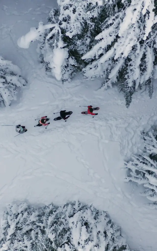 groupe de randonneurs en raquettes dans l'Ain