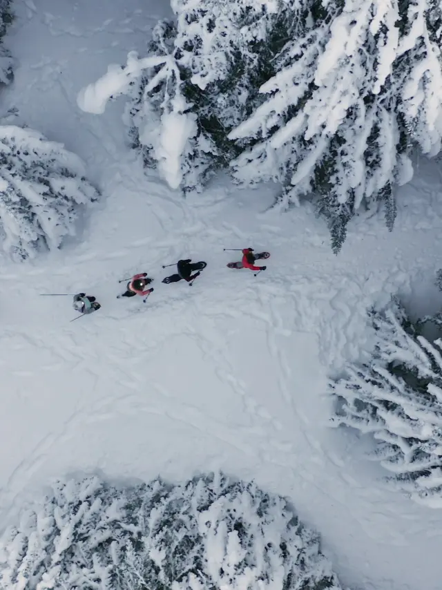 groupe de randonneurs en raquettes dans l'Ain