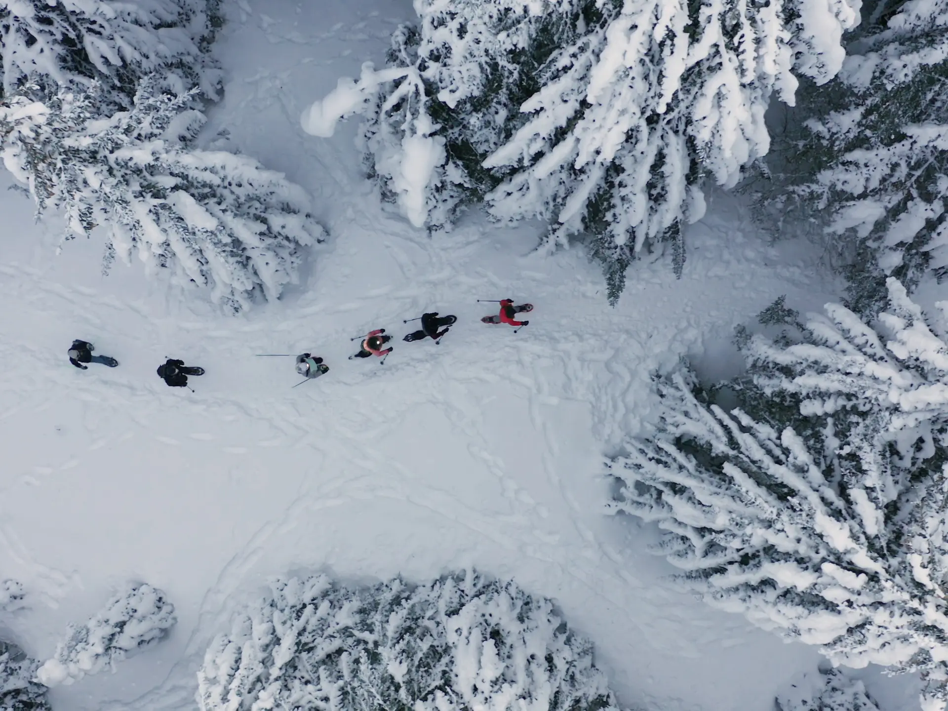 groupe de randonneurs en raquettes dans l'Ain