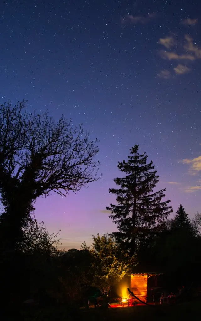 Cani rando nocturne avec Nordic Indiana