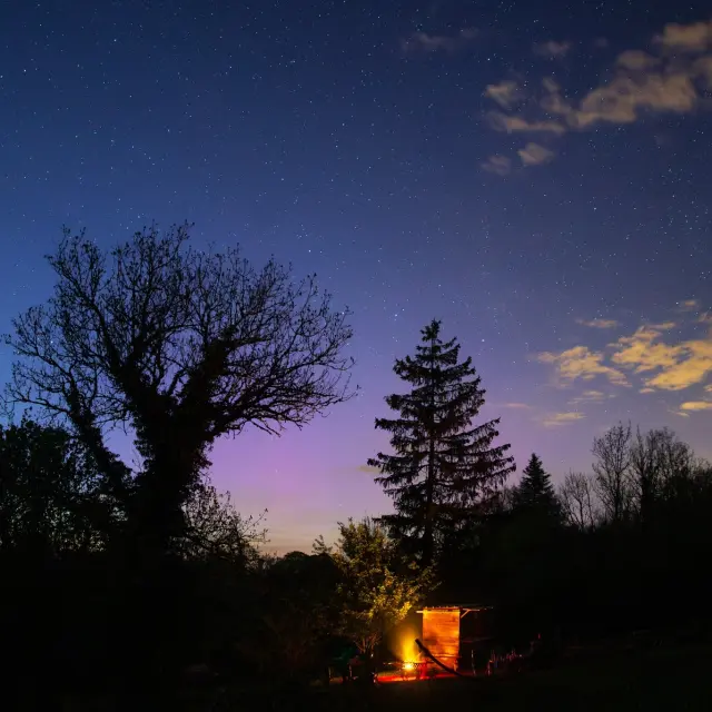 Cani rando nocturne avec Nordic Indiana