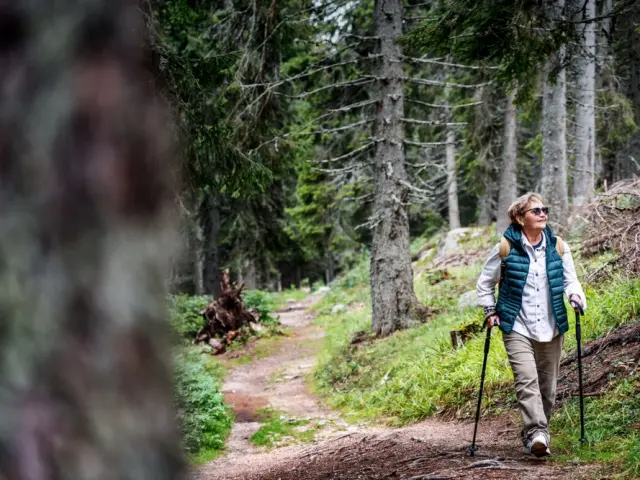 Marche nordique dans l'Ain