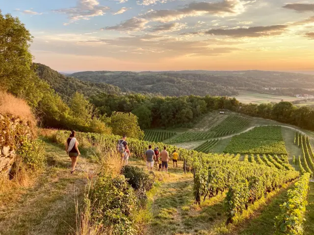 Balade et dégustation dans les vignes de Cerdon