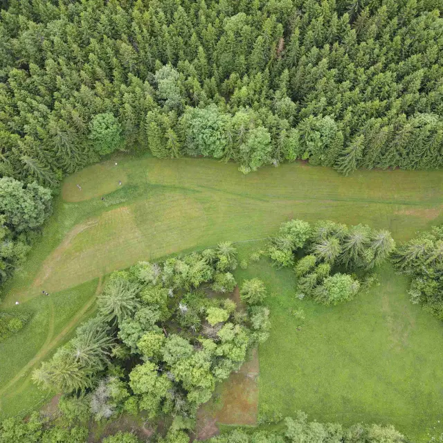 Swin golf du Plateau