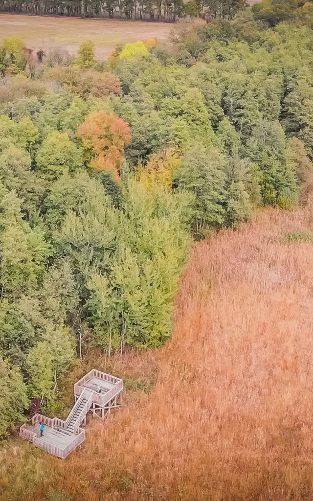 Marais des Bidonnes à Divonne-les-Bains