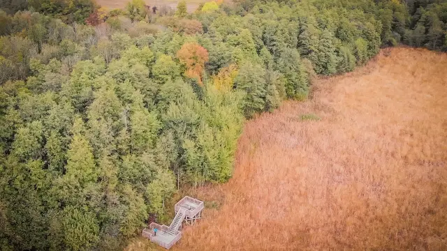 Marais des Bidonnes à Divonne-les-Bains
