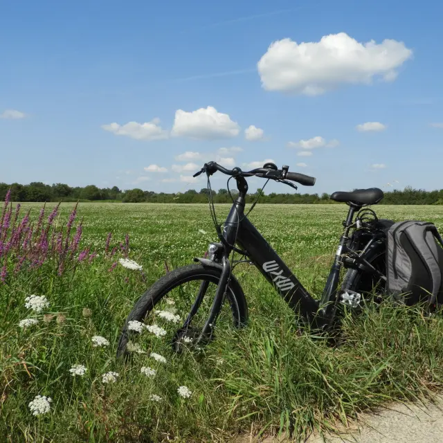 Les Locations Des Dombes