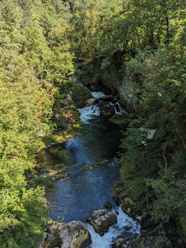 Des Gorges de l'Oignin aux Gorges de l'Ain - Espace FFC Ain Forestière