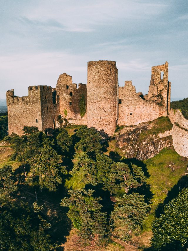 F Segel Sous Couzan©florian Bompan (5) (1)