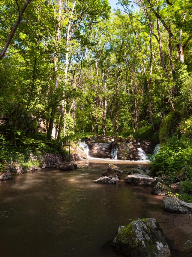 Aamiot Forez Loire 10 (3)