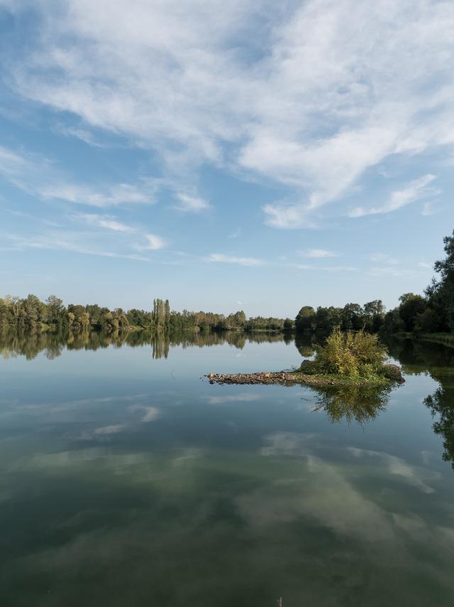 Videoplättchen Angeln