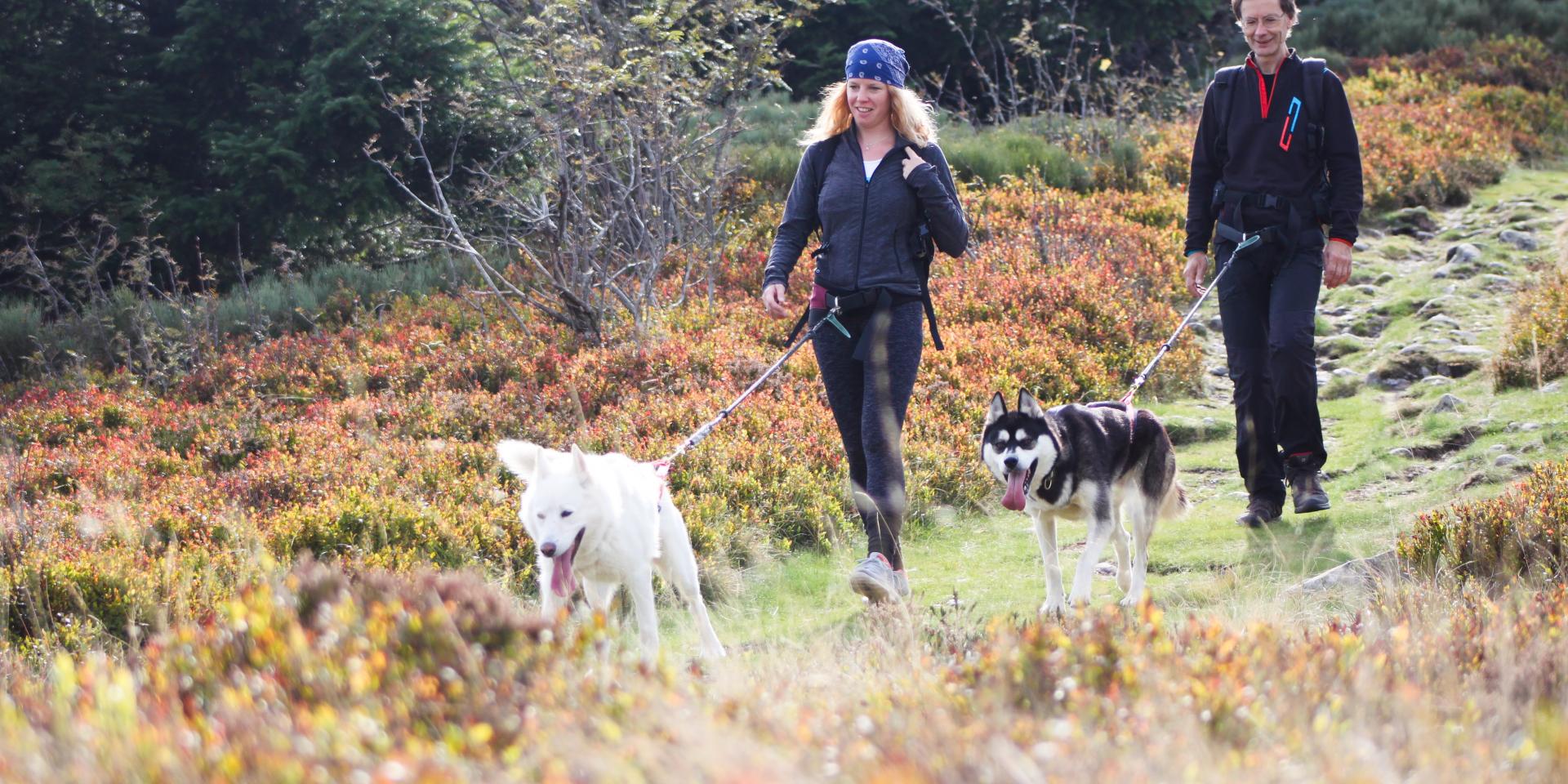 P Kimudjuk Canirando©office De Tourisme Du Pilat (39)