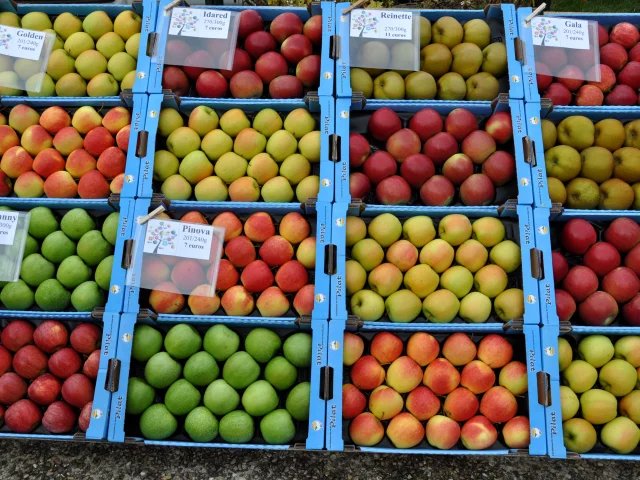 P Pelussin Pave D Affinois (5) Adt42 Evelyne Deveaux