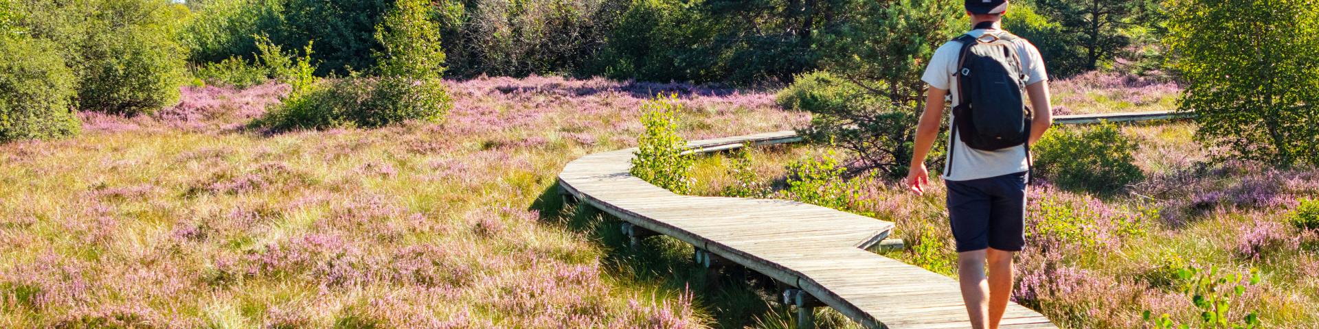 R Renaison Plateau De La Verrerie L.lambert Adt 42 (53)