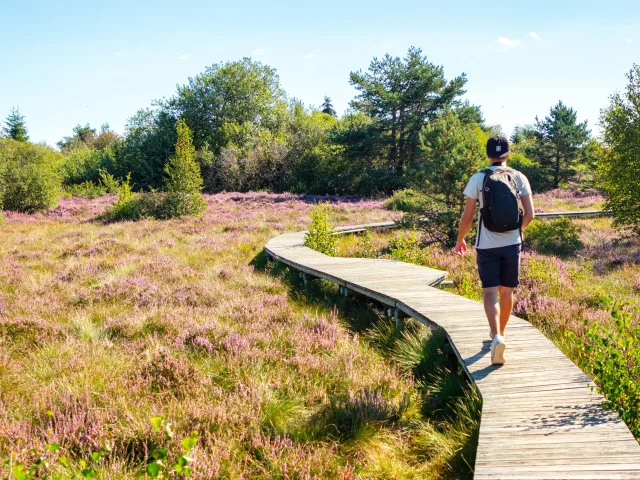 R Renaison Plateau De La Verrerie L.lambert Adt 42 (53)