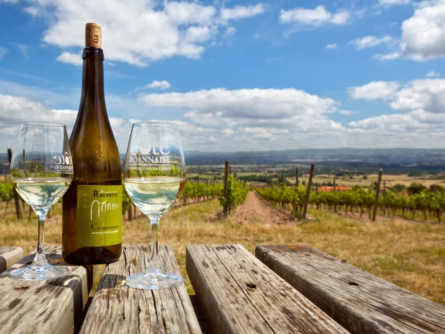 R Villemontais Amiot Frau Ohr (23)