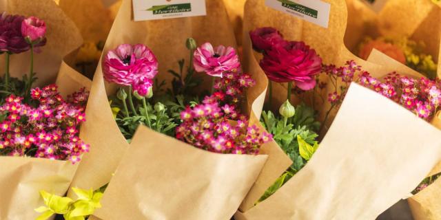Composition florale du GIE Hortiloire