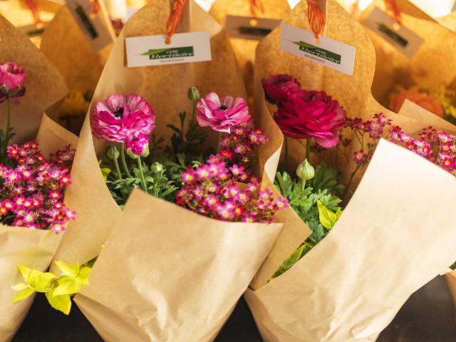 Composition florale du GIE Hortiloire