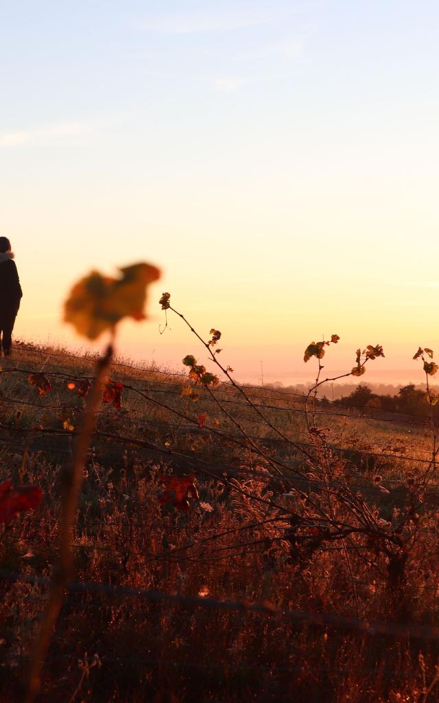 R St André D Apchon©adt42 L.lambert (17)