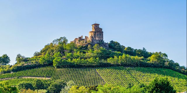 F St Romain Le Puy©juan Sanchez (8) (1) (1)