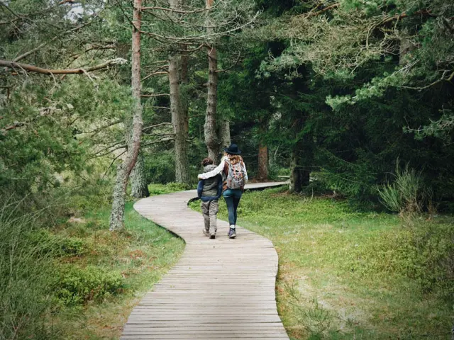 Tourbière De Gimel ©cash Pîstache (3)