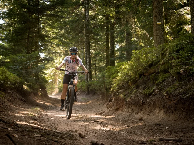 Roanne Tourisme Renaison Vtt 2116 Vincent Poillet Vincent Poillet