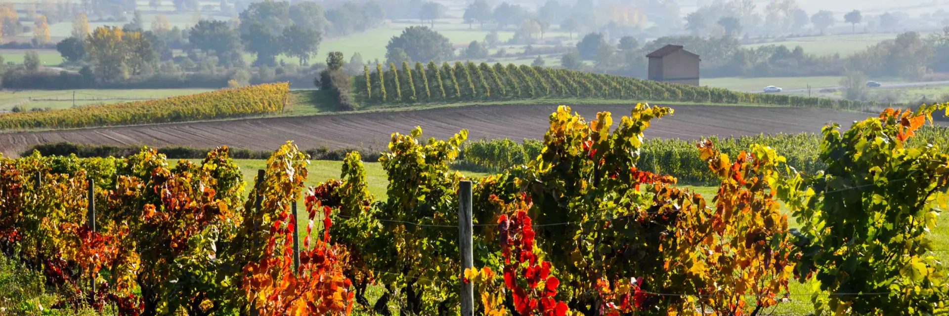 Vignobles Champdieuevelyne Deveaux 7 Scaled 1