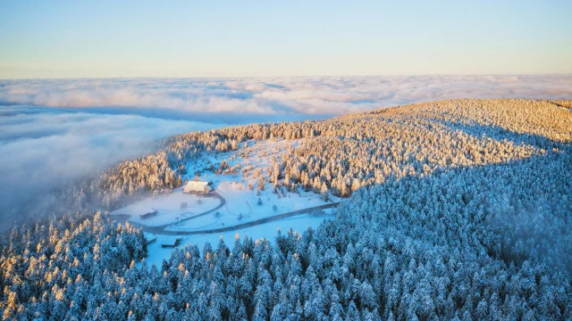 Neige Credit Photo Les Zed 2 1