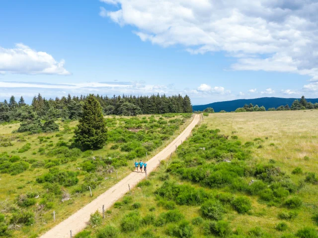 R Saint Regis Du Coin Adt42 Lambert27