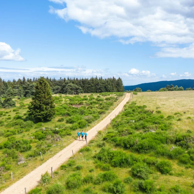 R Saint Regis Du Coin Adt42 Lambert27