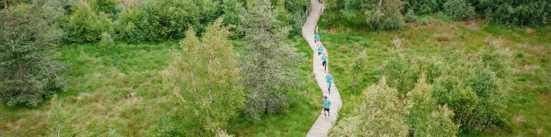 R Saint Regis Du Coin Adt42 Lambert32 2