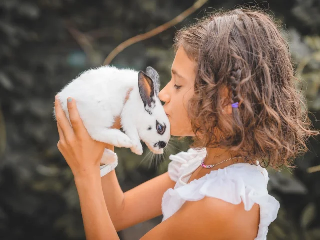 Apprendre Et S Amuser A La Ferme Loire 42