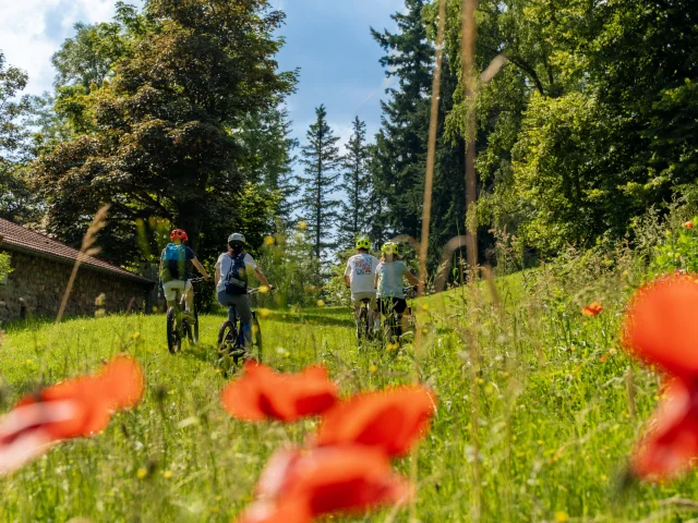 Idees Sejours Velo Loire 1
