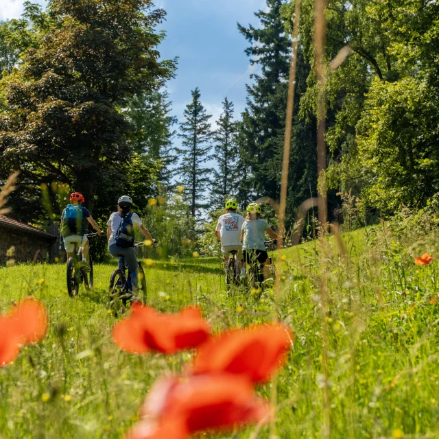 Idees Sejours Velo Loire 1