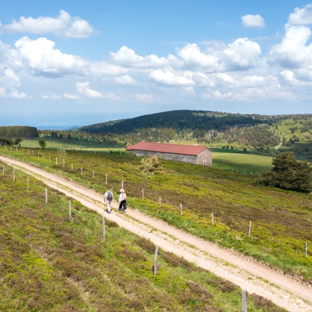 F-St-Bonnet-le-Courreau-Hautes_ChaumesLoire_Tourisme-L.Lambert_16-1.jpg