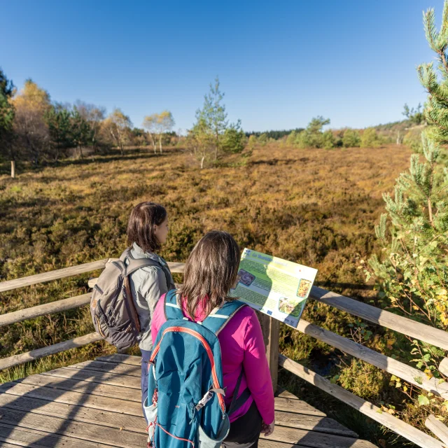Roanne Tourisme Saint Rirand Plateau Verrerie Romain Gouttefangeas 30