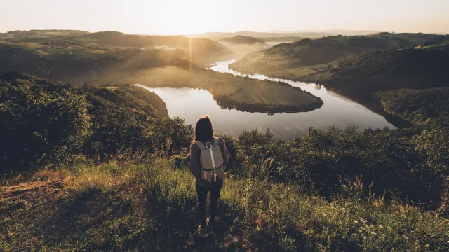 R Pet D Ane Best Jobers 1