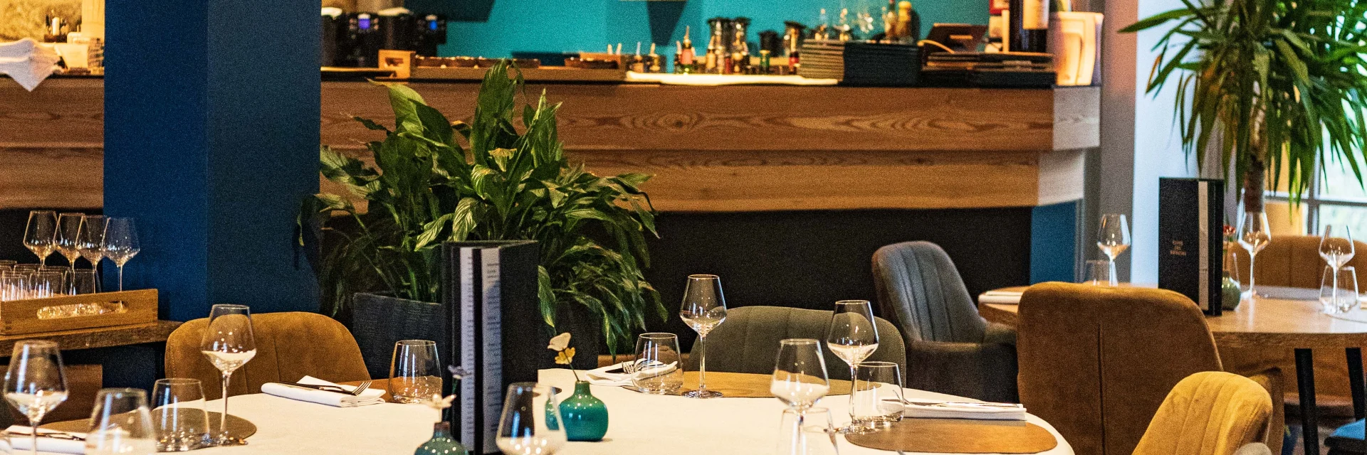 Domaine De La Plagnette